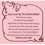 German Good Luck Pig - 20 Piece Set