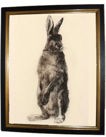 'Standing Hare'
