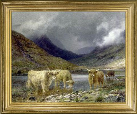 Scottish Highland  Framed Picture - Irish