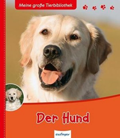 TEMPORARILY OUT OF STOCK - Der Hund
