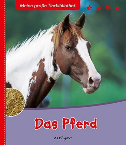 TEMPORARILY OUT OF STOCK - Das Pferd