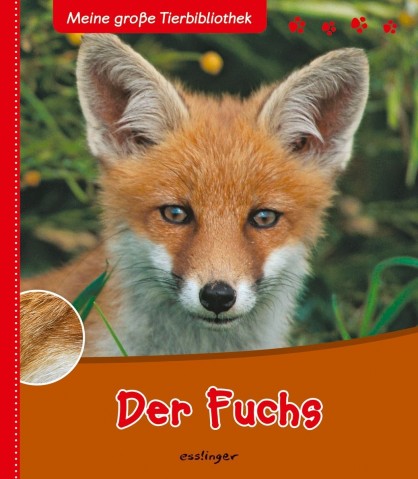 TEMPORARILY OUT OF STOCK - Der Fuchs