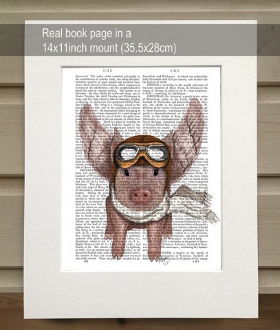 Aviator Piggy Fab Funky Book Print - TEMPORARILY OUT OF STOCK