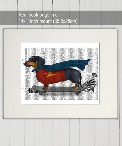 Dachshund on Skateboard FabFunky Book Print - TEMPORARILY OUT OF STOCK
