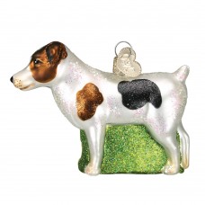 Old World Christmas Glass Ornament - Jack Russell Terrier