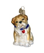 NEW - Old World Christmas Glass Ornament - Bull Pup
