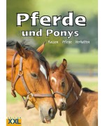 TEMPORARILY OUT OF STOCK - Pferde und Ponys 
