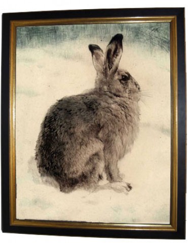 TEMPORARILY OUT OF STOCK - 'Hare'