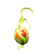 Christmas and Easter Egg - Red Tulip TEMPORARILY OUT OF STOCK