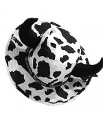 Cow-boy Hat
