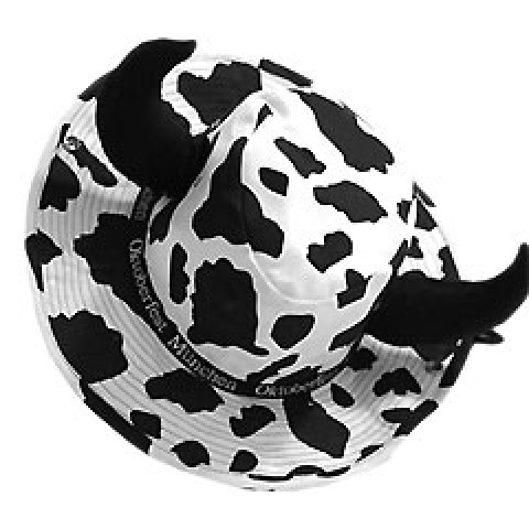 Cow-boy Hat