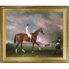 TEMPORARILY OUT OF STOCK <BR><BR> 'The Cur A Racehorse' 