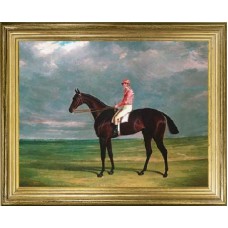 TEMPORARILY OUT OF STOCK <BR><BR> 'Birmingham A Racehorse' 