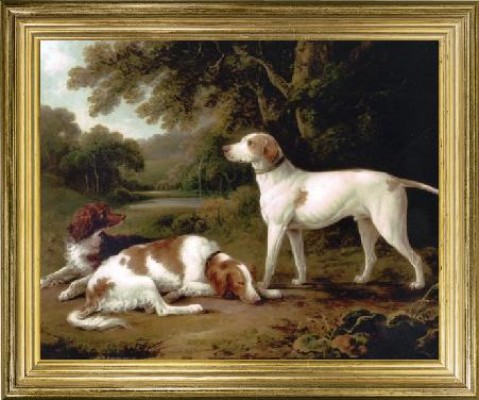 Hunting Dogs' 