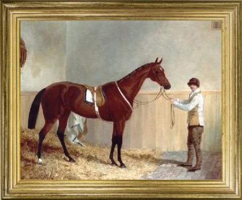 Chesnut Racehorse' 